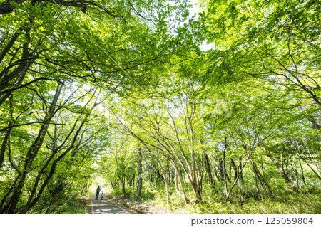 Fresh greenery and early summer cycling image (Hiruzen Plateau) 125059804