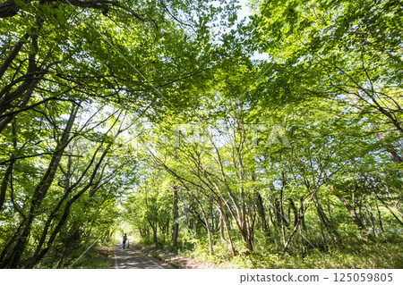 Fresh greenery and early summer cycling image (Hiruzen Plateau) 125059805