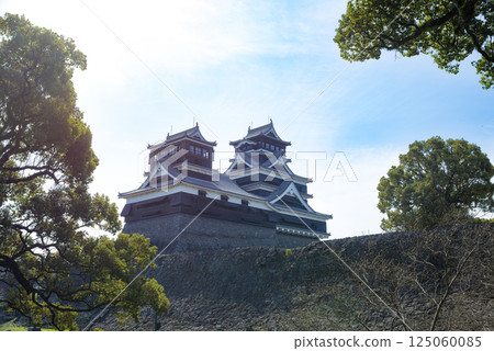 The majestic Kumamoto Castle tower as seen from Kato Shrine 125060085
