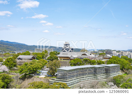 在藍天的熊本城堡 125060091