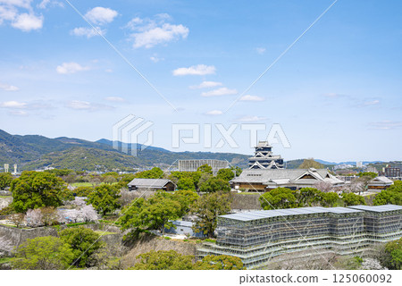 在藍天的熊本城堡 125060092