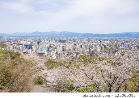 Kumamoto cityscape as seen from cherry blossom-filled Hanaokayama Park Kumamoto cityscape as seen from cherry blossom-filled Hanaokayama Park 125060095