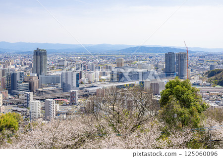 The cityscape around Kumamoto Station seen through the cherry blossoms The cityscape around Kumamoto Station seen through the cherry blossoms 125060096