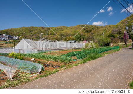 Rural scenery of Tsurumaki Onsen: A tranquil spring scene 125060368