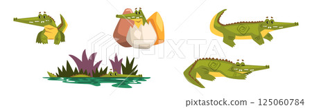 Funny Green Crocodile or Gator Animal in Different Activity Vector Set 125060784