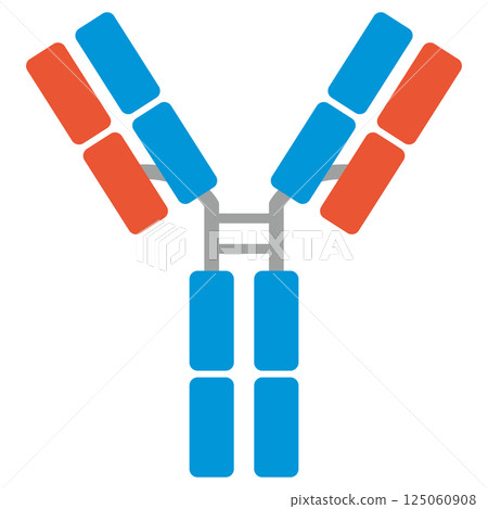 Immunoglobulin G (IgG) illustration (single item) 125060908