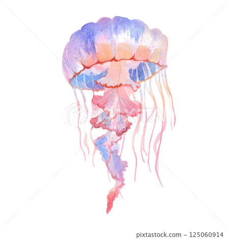 Hand painted watercolor illustration jellyfish 125060914