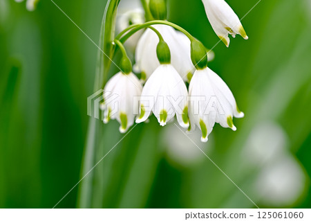 漂亮的雪花 125061060