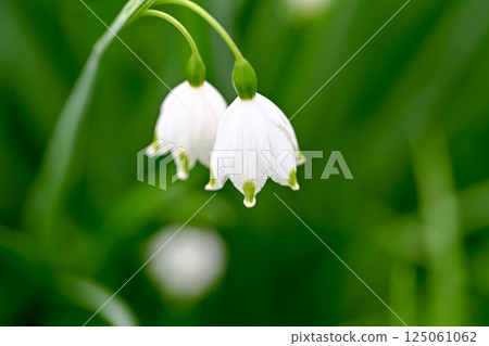 漂亮的雪花 125061062