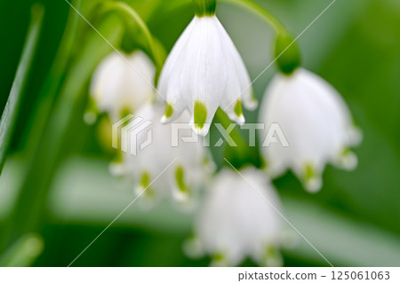 漂亮的雪花 漂亮的雪花 125061063