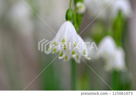 漂亮的雪花 漂亮的雪花 125061073