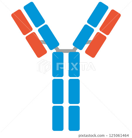 Immunoglobulin E (IgE) illustration (single item) 125061464