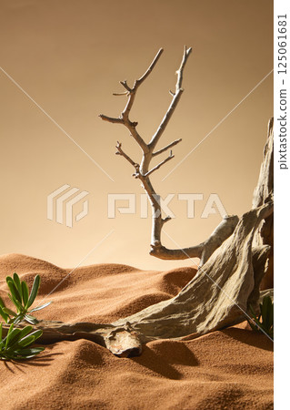 The trunk of the ancient tree was dry and withered with concave and convex veins, the dry branches stretched straight up to the sky, the sunlight shining brightly on dry sand of the landscape. The trunk of the ancient tree was dry and withered with concave and convex veins, the dry branches stretched straight up to the sky, the sunlight shining brightly on dry sand of the landscape. 125061681
