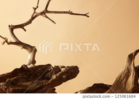 Gnarled wood has a tip like a sharp rock protruding forward. Behind it is a tree trunk with bare branches, bony and leafless. Dry tree trunks placed around. Brown background, wild desert concept Gnarled wood has a tip like a sharp rock protruding forward. Behind it is a tree trunk with bare branches, bony and leafless. Dry tree trunks placed around. Brown background, wild desert concept 125061684