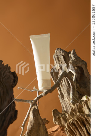 Unlabeled tube stands on a bare tree trunk in the desert. Arid branch stretches cross the air. The dry tree trunks like large boulders with large eroded holes. Wild desert scenery, brown background. 125061687