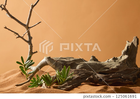 Coarse tree trunk placed on sand of the dry landscape with some wild plants growing around. A spindly branch juts out from the driftwood. Sand field with an uneven surface and dry sand grains Coarse tree trunk placed on sand of the dry landscape with some wild plants growing around. A spindly branch juts out from the driftwood. Sand field with an uneven surface and dry sand grains 125061691