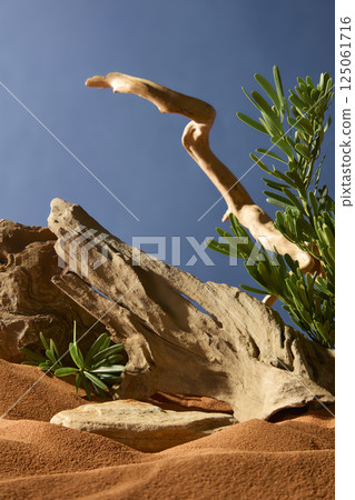 Piece of wood with a rough, corroded surface and large cracks. Sharp and curved branches pointing straight up towards the sky. Lush desert shrubs around the dead trees. Stone slabs buried in sand. Piece of wood with a rough, corroded surface and large cracks. Sharp and curved branches pointing straight up towards the sky. Lush desert shrubs around the dead trees. Stone slabs buried in sand. 125061716
