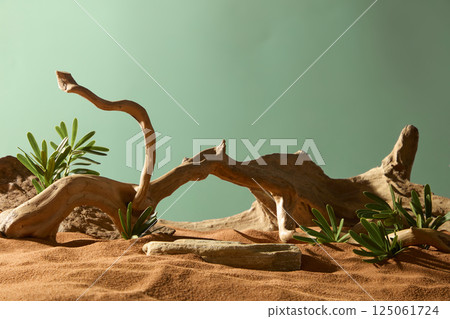 The twisted branches of the trees are gnarled and rough-surfaced. The rock is partly covered with sand. Desert shrubs grow around the withered tree trunks. The wind-blown sand has an uneven surface. The twisted branches of the trees are gnarled and rough-surfaced. The rock is partly covered with sand. Desert shrubs grow around the withered tree trunks. The wind-blown sand has an uneven surface. 125061724