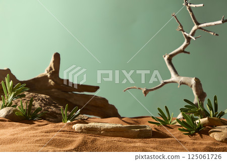 Desert landscape with large tree trunks scattered everywhere. The tree is bare with many small branches, at the base of the tree are wild leaves and pebbles. The sand is dry by the bright sunlight. Desert landscape with large tree trunks scattered everywhere. The tree is bare with many small branches, at the base of the tree are wild leaves and pebbles. The sand is dry by the bright sunlight. 125061726
