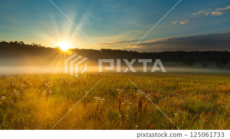 Golden sunrise over a misty meadow with wildflowers and soft light rays, creating a peaceful and dreamy natural landscape. 125061733