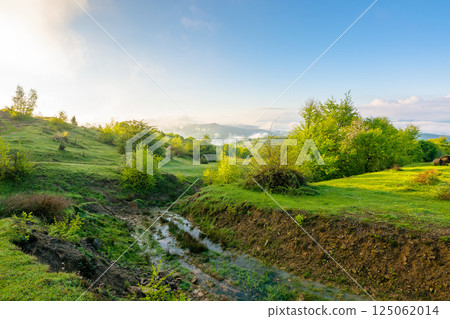 mountain landscape with fog and clouds. deciduous woods on the grassy hill. sunny morning in spring 125062014