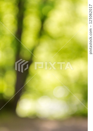 green nature background. forest outdoor in blur. fresh spring 125062017