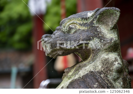 The mountain dog-shaped lion statue at Chichibu Hijiri Shrine that helps you save money The mountain dog-shaped lion statue at Chichibu Hijiri Shrine that helps you save money 125062346