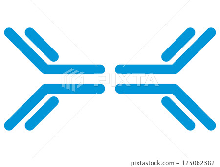 Immunoglobulin A (IgA) illustration / simple version (single item) 125062382