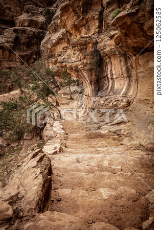 Colorful sandstone canyon walls winding through the siq al barid at little petra in jordan 125062585