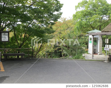 2014年,香川,高松,屋島,風景,神社,屋島神社,第11部分 2014年,香川,高松,屋島,風景,神社,屋島神社,第11部分 125062686