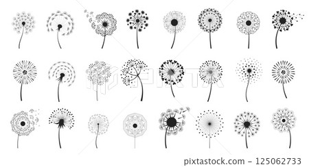 Dandelion Flowers with Fluffy Seeds. Botanical Spring vector Illustration Set.. 125062733