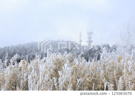 Snowy mountain scenery in winter 125063070