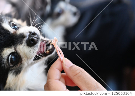 我心愛的吉娃娃吃了手工製作的肉乾，人類也可以吃 125063104