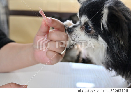 我心愛的吉娃娃吃了手工製作的肉乾，人類也可以吃 125063106