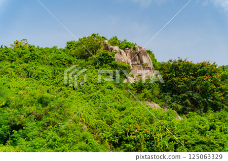 Rocks overgrown with vegetation. Rocks overgrown with vegetation. 125063329
