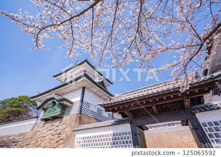 (石川縣)金澤城:清晨的石川門和石川塔櫻花盛開 (石川縣)金澤城:清晨的石川門和石川塔櫻花盛開 125063592
