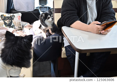 Traveling in a camper van with her dog: A woman searching for dog-friendly tourist spots on her smartphone Traveling in a camper van with her dog: A woman searching for dog-friendly tourist spots on her smartphone 125063606