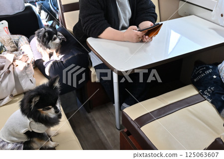 帶著狗狗乘坐露營車旅行：一位女士用智慧型手機搜尋適合狗狗的旅遊景點 125063607