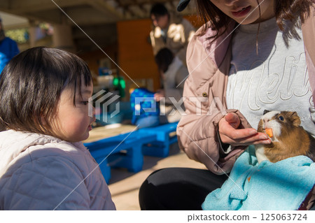 [A one-year-old child looking at hamsters at the animal play area in Sagamihara City Asamizo Park] 125063724