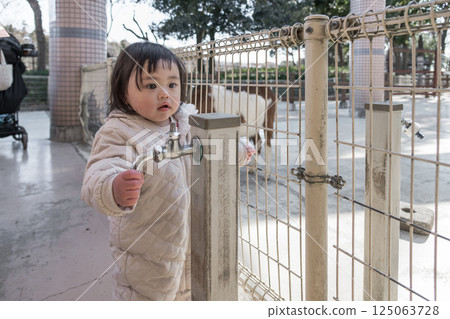 [相模原市麻溝公園動物遊樂區，一歲兒童正在看山羊] 125063728