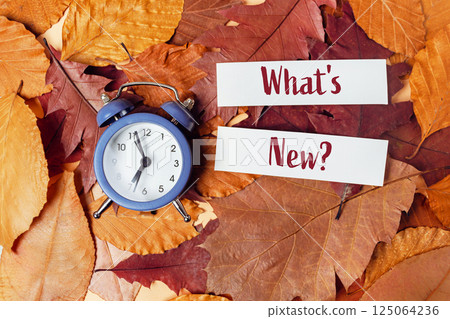 Clock is on a pile of leaves with the words What's New written on top of it 125064236