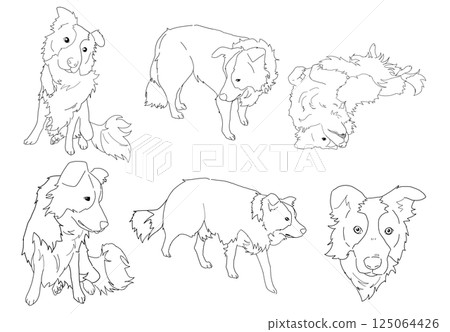 邊境牧羊犬線描集 邊境牧羊犬線描集 125064426