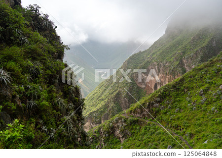 Colca Canyon in the mist and clouds, Peru Colca Canyon in the mist and clouds, Peru 125064848