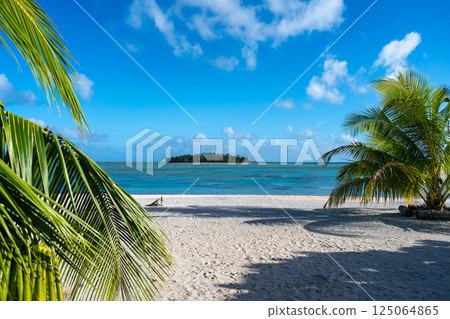 Idyllic motu view from a beach in Tikehau, French Polynesia 125064865