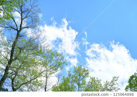 Blue sky and cloud image 125064898