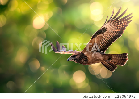 Bird is flying in the air with its wings spread out 125064972