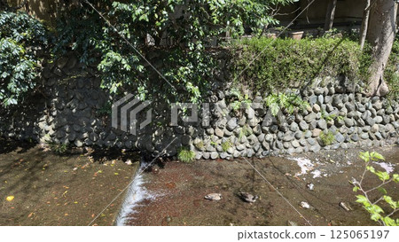 A river somewhere in Japan 125065197