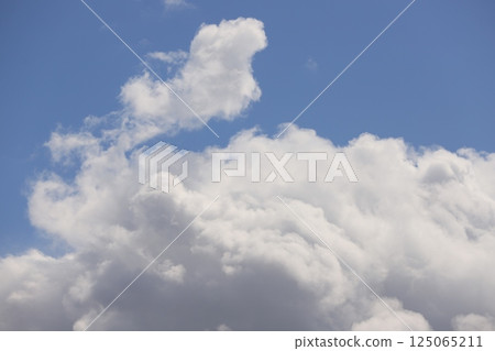 White cloud  125065211