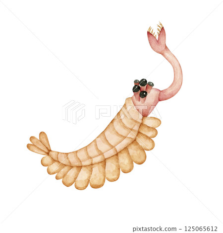歐帕賓尼亞(Opabinia),一種寒武紀古生代生物,水彩畫 歐帕賓尼亞(Opabinia),一種寒武紀古生代生物,水彩畫 125065612