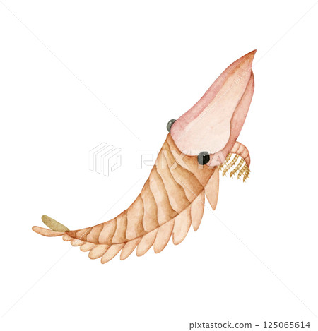 Hurdia，一種寒武紀古生代生物，水彩插圖 125065614